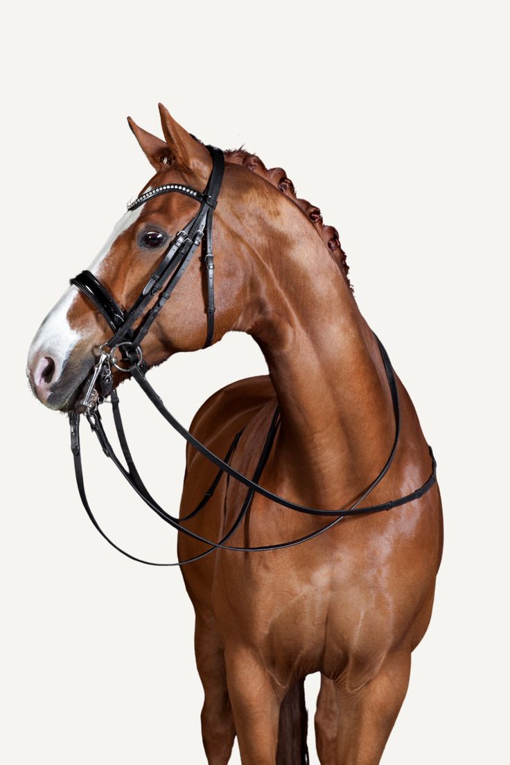 A chestnut horse and rider clearing a jump